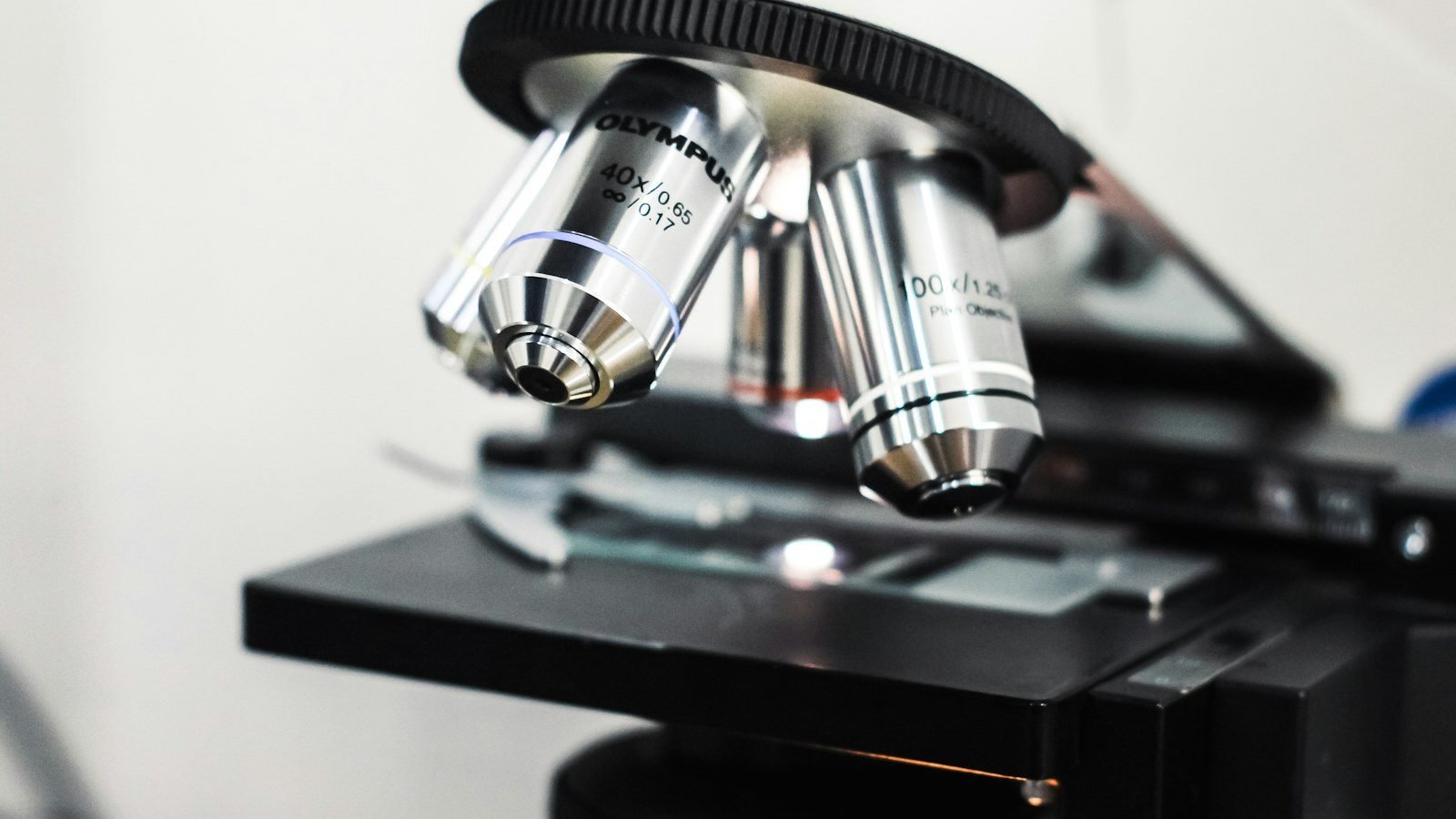 Desarrollan un sistema de IA capaz de analizar las estructuras celulares del cáncer de mama y predecir su agresividad