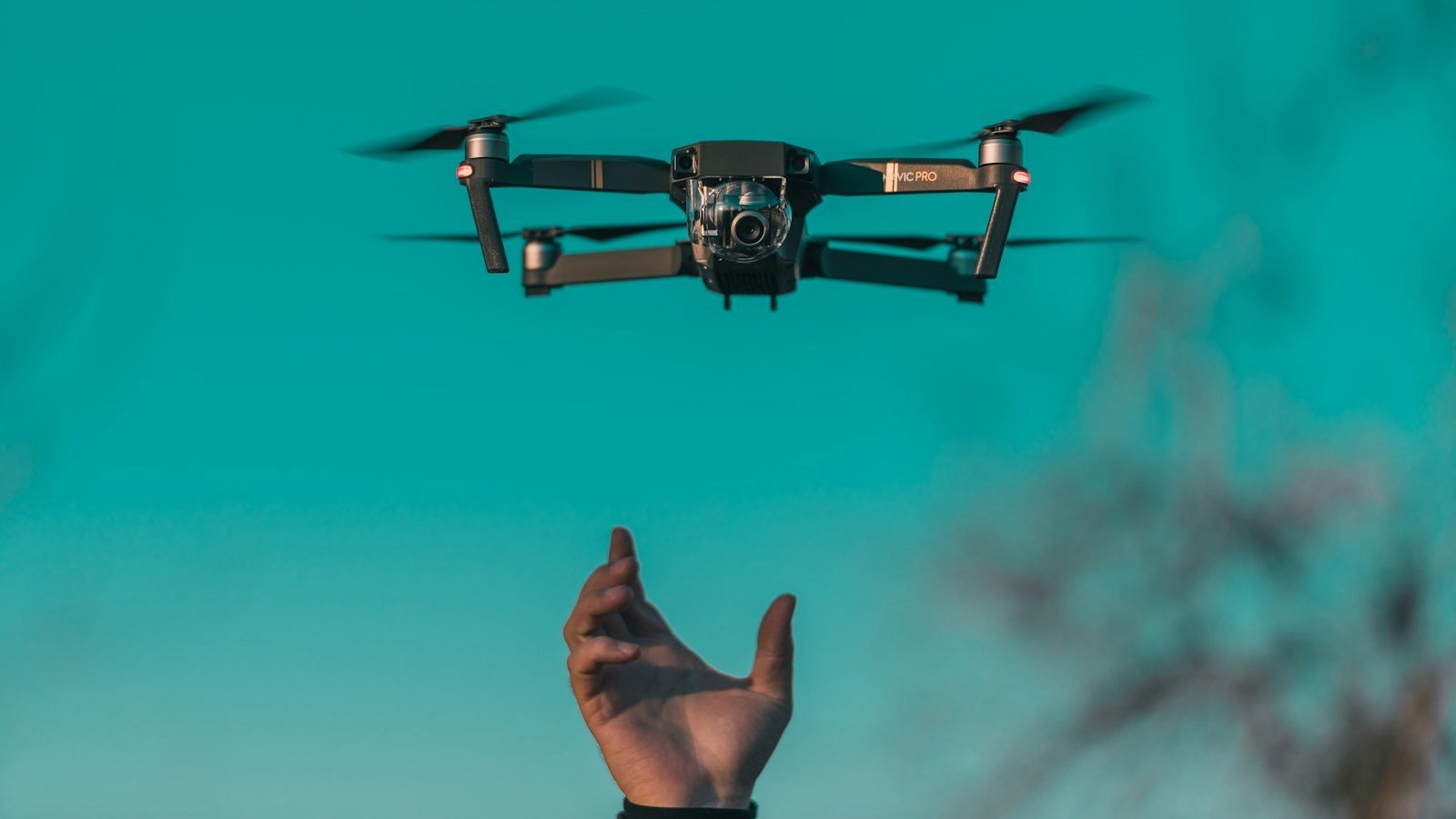 Un desarrollador creó un atlas anatómico 3D interactivo con 2,234 piezas usando GPT-6 Astra