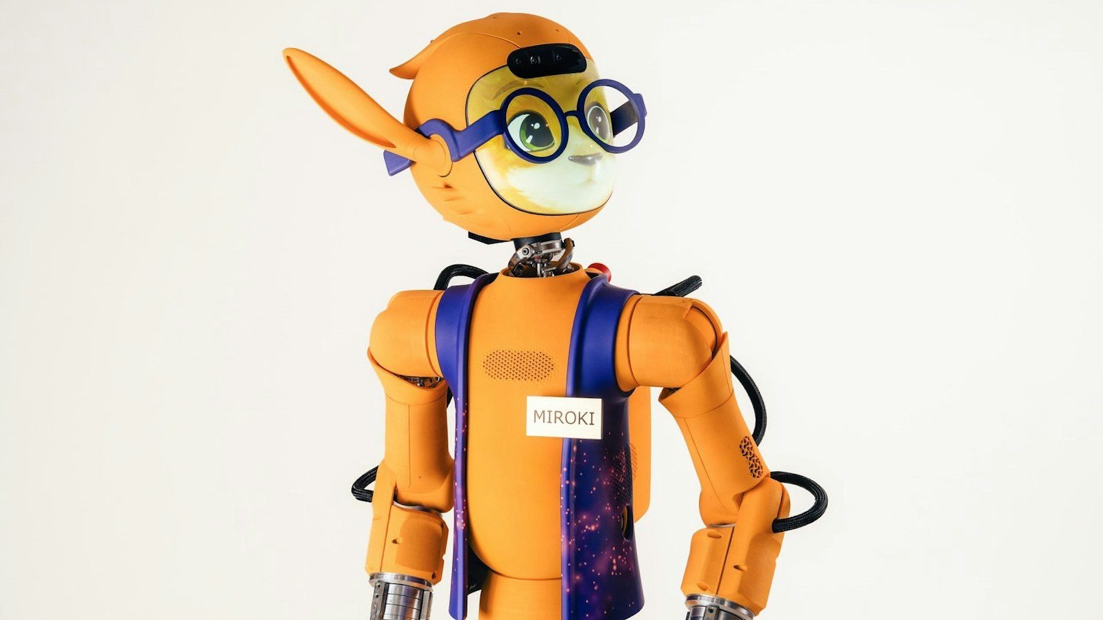 Así se ven los combates de artes marciales entre robots humanoides en Pekín