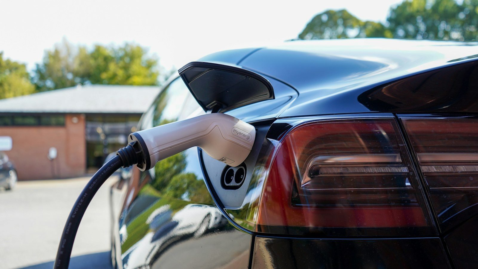Robotaxi de Tesla choca contra un arbol mientras era conducido remotamente
