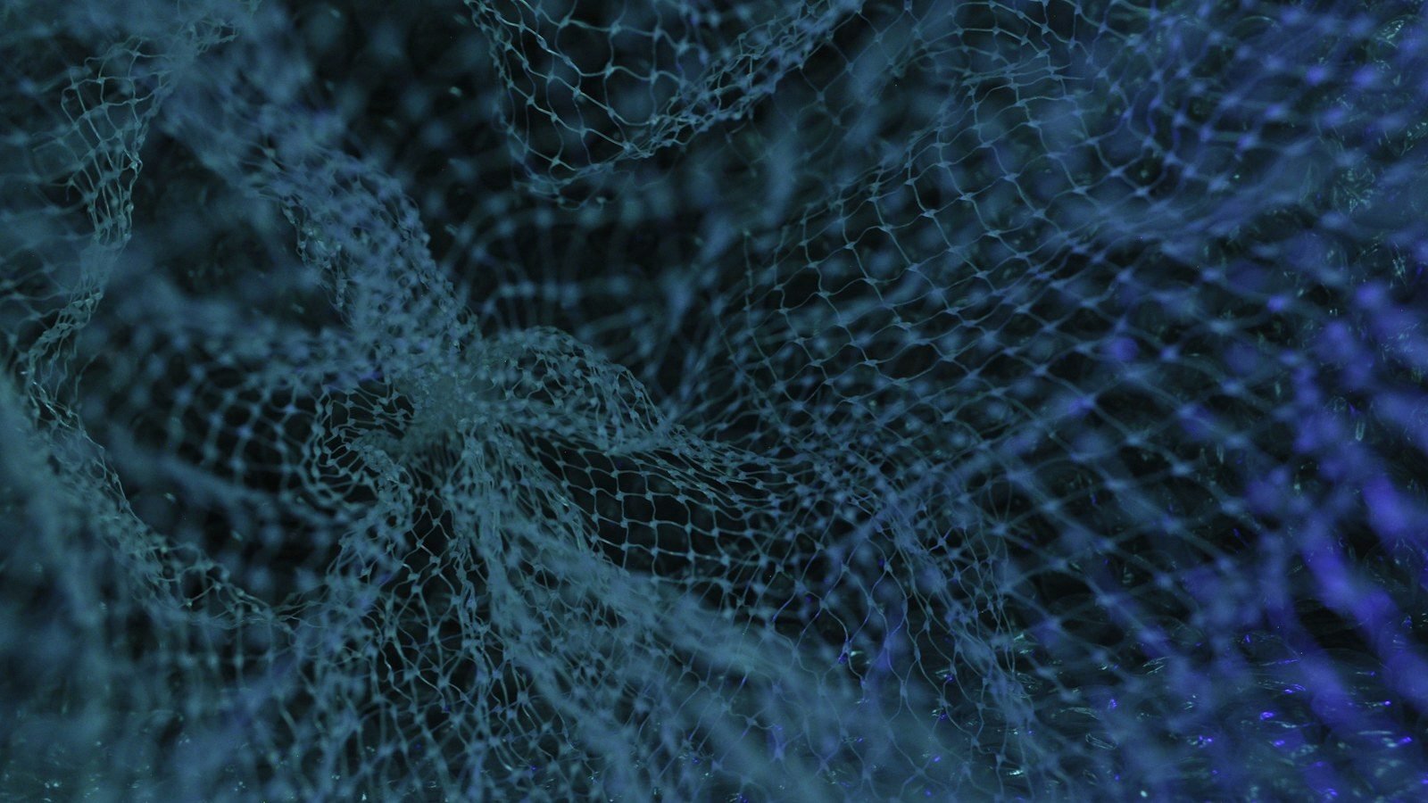 La internet podría estar envenenando a la próxima generación de IA: qué es el colapso de modelos