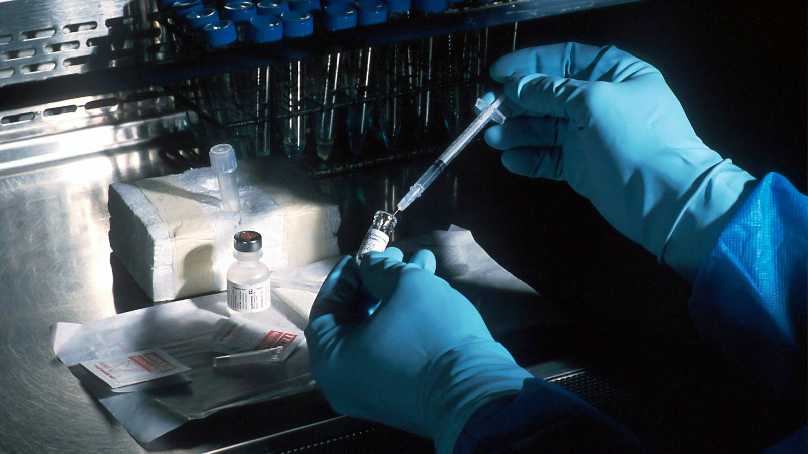 Una vacuna terapéutica enseña al sistema inmune a atacar la mutación KRAS en el cáncer de páncreas